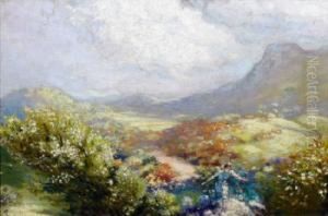 Girl In A Fairy Glen, Donegal