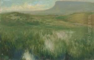 The Starling Lake