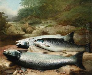 Three Salmon On A Rocky Riverbank by John Russell