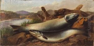 Two Salmon On A Riverbank