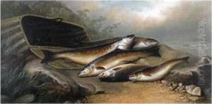River Trout River Trout