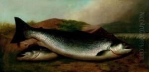 Salmon On A River Bank by John Russell