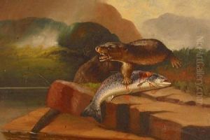 Otter With A Trout By A Highland Lake