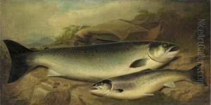 Salmon And Trout On A River Bank by John Russell
