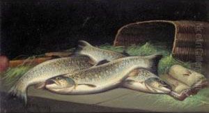 Yellow Trout