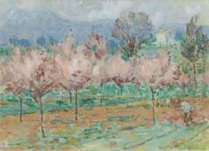 Peach Trees, Cagnes Peach Trees, Cagnes
