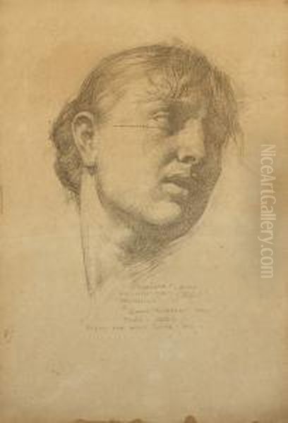 Study For Lot's Wife - view 1