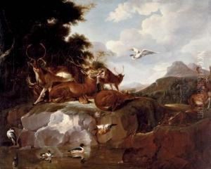 Deer, Ducks, A Rabbit, A Spoonbill And Other Animals In A Landscape