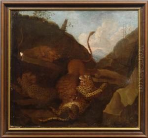 Kampfende Leoparden Und Lowen In Einer Berglandschaft