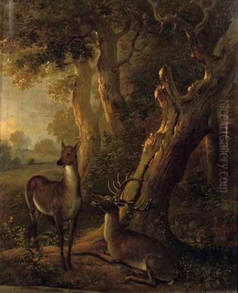 A Deer And A Stag In A Wooded Landscape - view 1