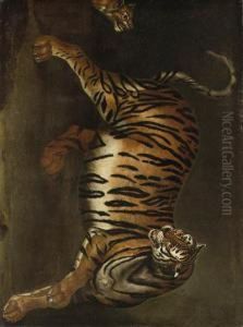 A Tigress And Her Cub by Carl Borromaus Andreas Ruthart