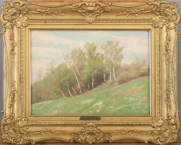 Landscape With Birch Trees - view 1