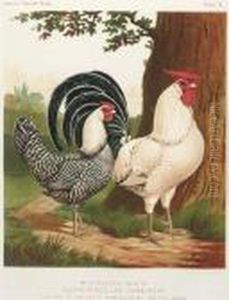 The Illustrated Book Of Poultry: Six Plates by William Rutledge