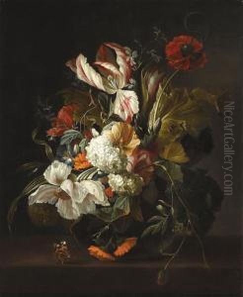 Still Life - view 1
