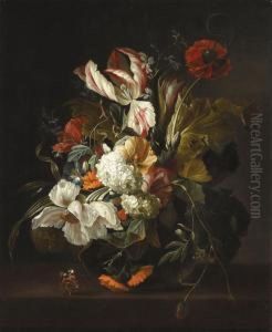 Still Life