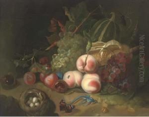 Peaches by Rachel Ruysch