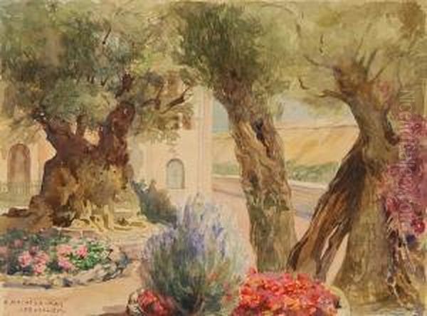 The Garden Of Gethsemane - view 1