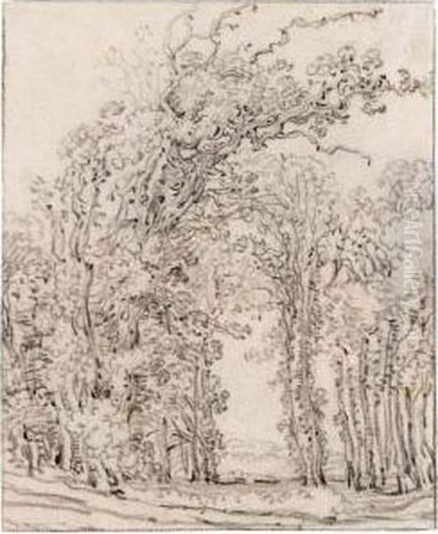 Study Of Trees - view 1