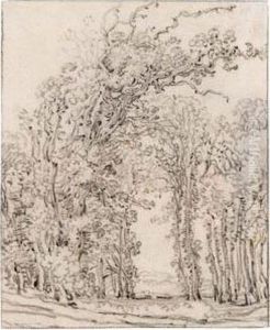 Study Of Trees by Frans, Francois Ryckhals