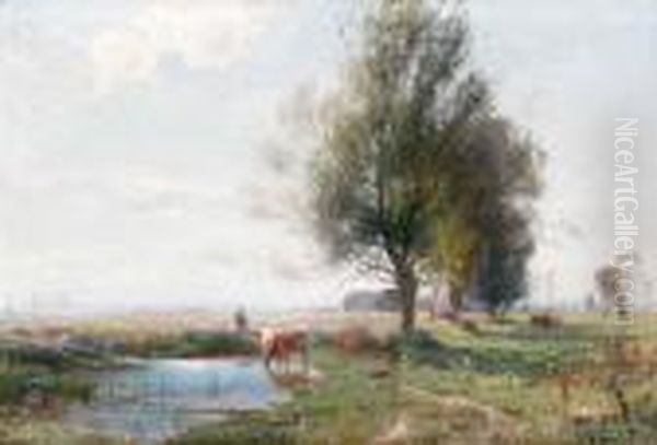 Kor I Oppet Landskap - view 1