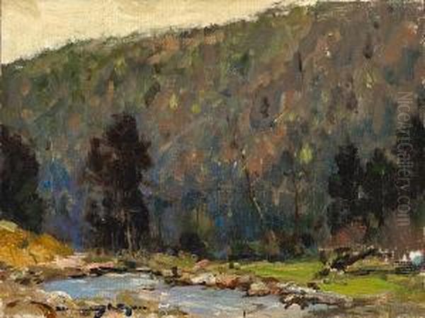 Trout Stream - view 1