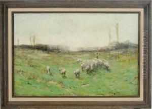 Sheep In A Meadow by Chauncey Foster Ryder