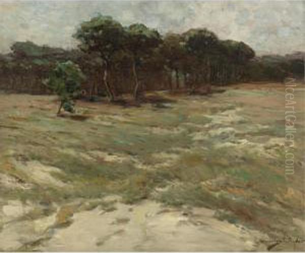 The Edge Of The Field - view 1