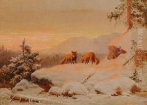 Renards Sous La Neige En Norvege, 1880