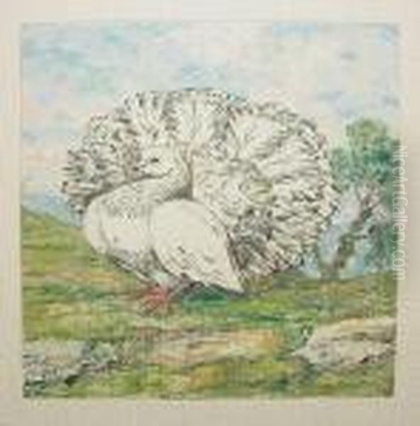 A Group Of Bird Pictures (5) - view 1
