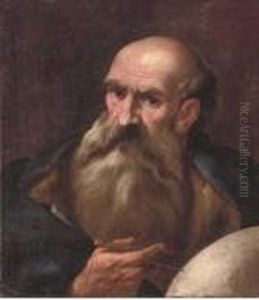 A Philosopher by Andrea Sacchi