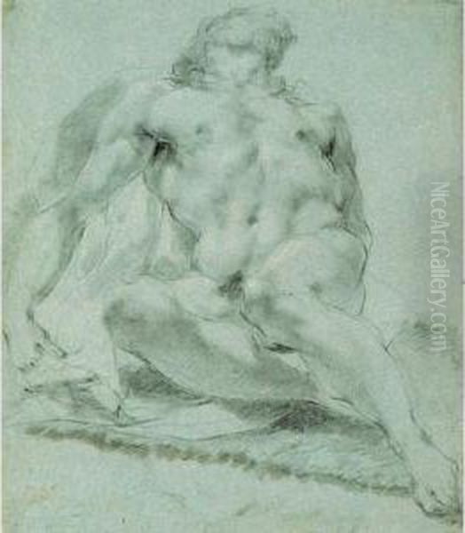 Male Nude - view 1
