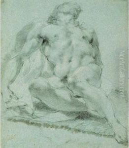 Male Nude by Andrea Sacchi