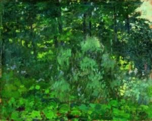 Nel Fitto Del Bosco by Giuseppe Sacheri