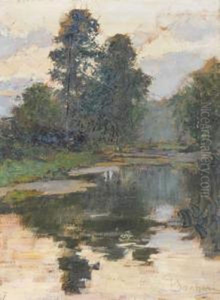 Auenlandschaft In Der Dammerung - view 1