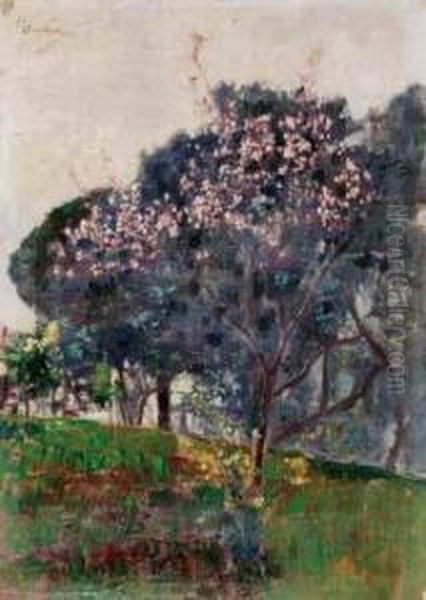 Alberi In Fiore - view 1