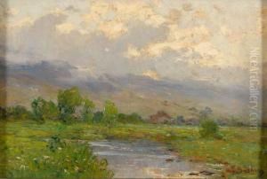 Paesaggio Di Campagna
