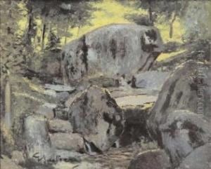 Sottobosco