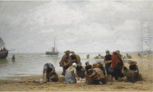 Sorting The Catch On Scheveningen Beach