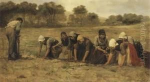 Harvesting Potatoes by Philippe Lodowyck Jacob Sadee