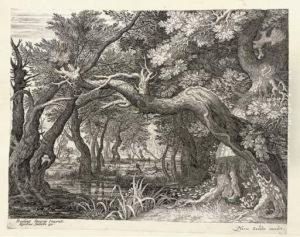 Landscapes Landscapes