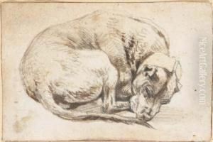 A Sleeping Dog A Sleeping Dog