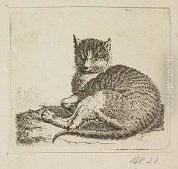 Cats And Dogs - view 1