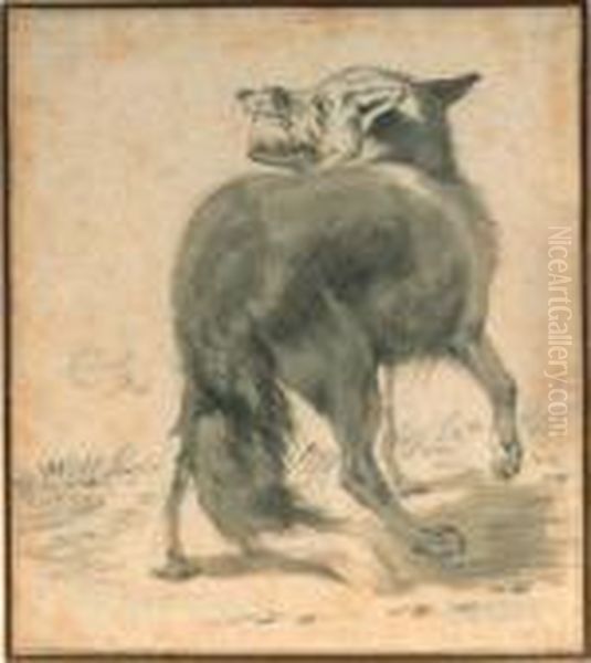 Study Of A Wolf, Seen From Behind - view 1