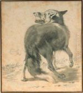Study Of A Wolf, Seen From Behind