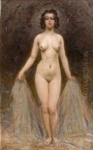 Nu Au Drape by Edouard Alexandre Sain