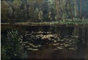 Le Sommeil Des Nenuphars