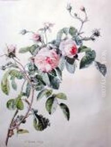 Branche De Rosier by Simon Saint-Jean