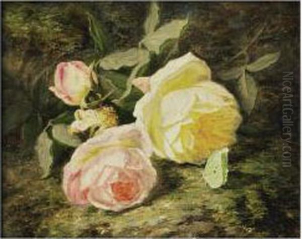 Roses Et Papillon - view 1