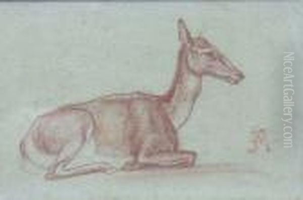 Doe - view 1