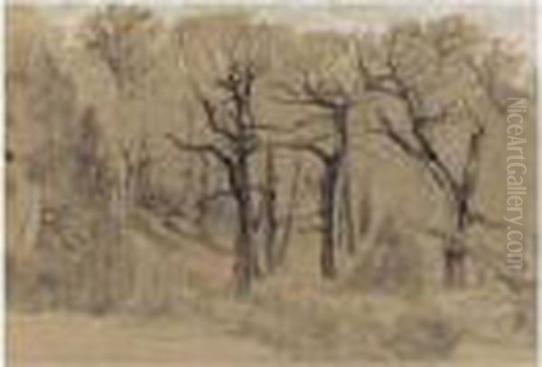 In The Forest - view 1